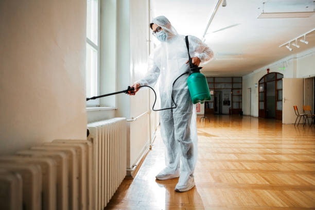 Best Local Pest Control Services  in Gladewater, TX